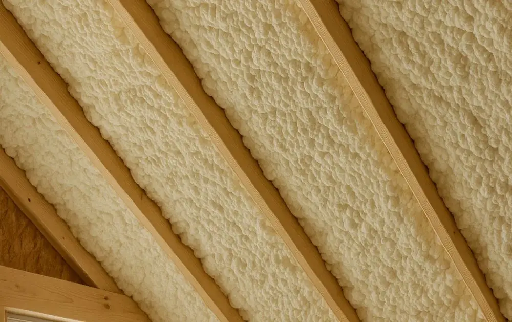 Why Acoustic Comfort Matters More Than Ever