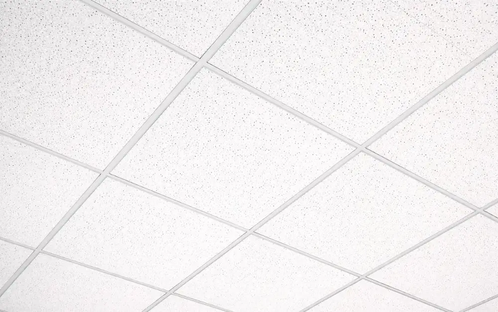 Expertise in Acoustic Solutions: Perfect Acoustics